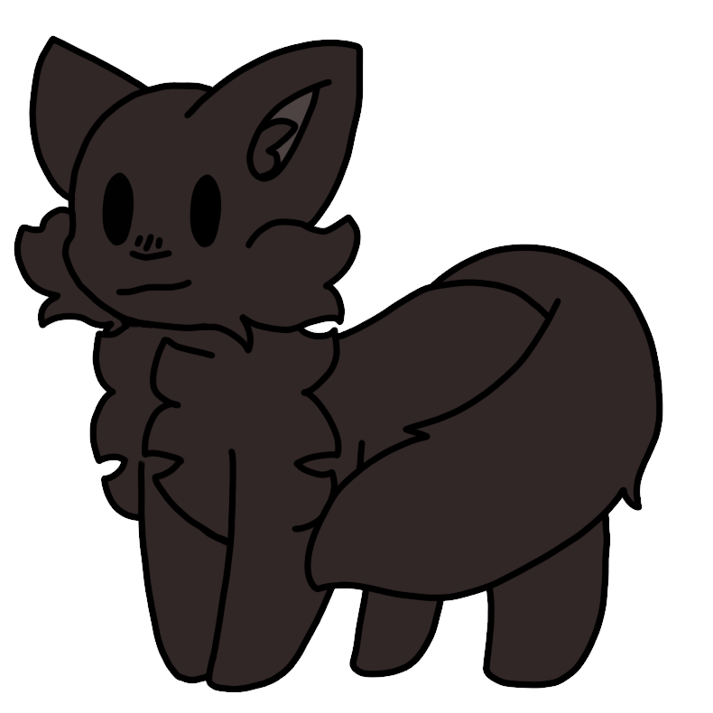  a fluffy black cat.
